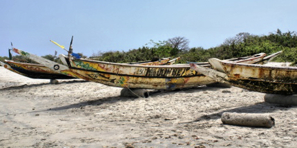 Traditional Gambian fishing boats