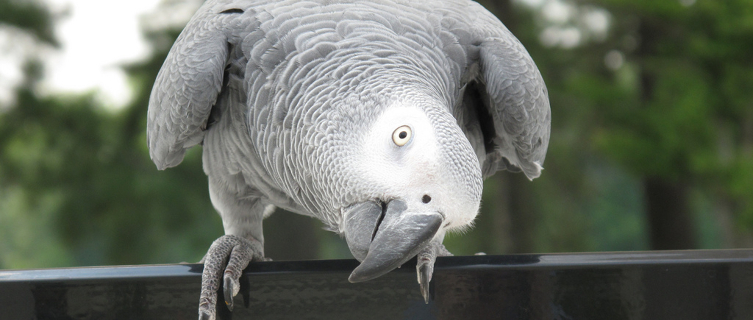 Have you got the knowledge to take on our weekly quiz?