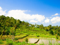 Explore Indonesia's varied landscape