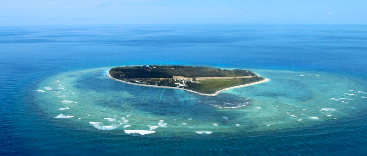 Lady Elliot Island’s fringing reef