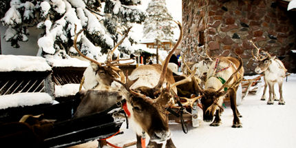 Take a reindeer tour in Lapland, home of Santa Clause