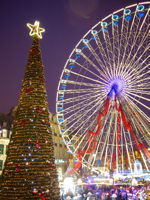 A giant Christmas tree rises from Lille's main square