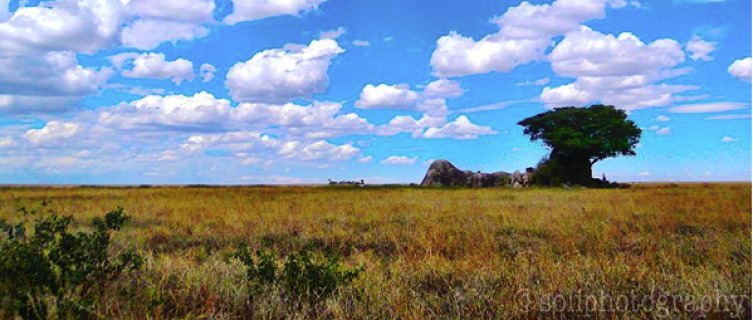 The best travel photos of February 2016