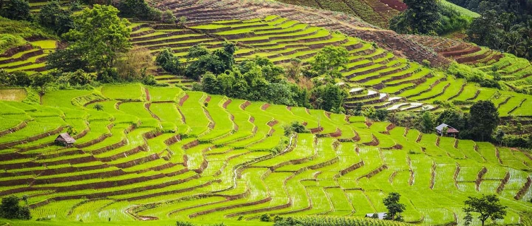 Many digital nomads spend October to March in Chiang Mai, Thailand.  