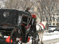 No romantic New York holiday is complete without a horse-drawn carriage ride