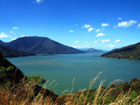 New Zealand's stunning scenery.