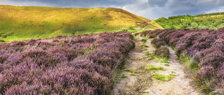 North York Moors National Park is the fifth most popular national park in the world