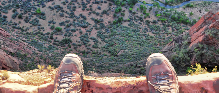 One tourist endured quite a tumble this week