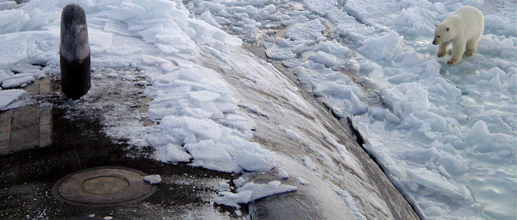 Polar bears investigate a US submarine near the North Pole