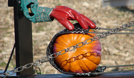 Science meets squash at the Punkin' Chunkin' Festival