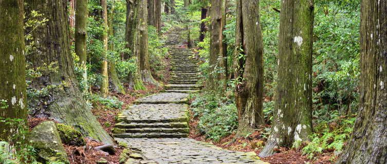 Rediscover your spirituality with a trek through the Japanese mountains