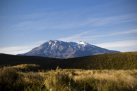 The active volcano Ruapehu rises above the surrounding plains.