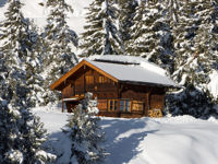 Try a Scottish log cabin for total seclusion this New Year's Eve