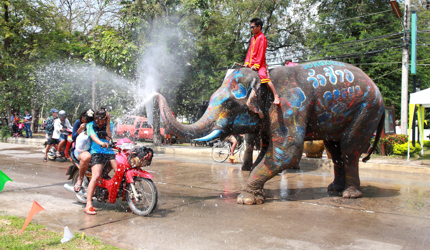 An elephant gets in on the action at Thailand's Songkran