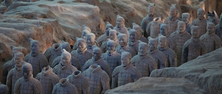 The Terracotta Warriors were discovered by a well digger