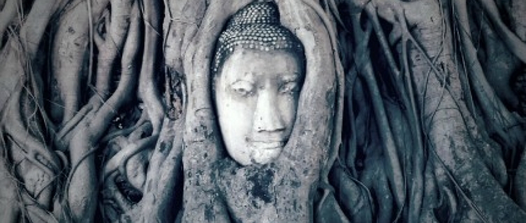 The stone Buddha head encased in a tree in Ayutthaya, Thailand