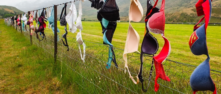 Why has this fence caused consternation in New Zealand