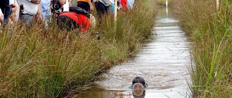 A competitor in the World Bog Snorkelling Championships