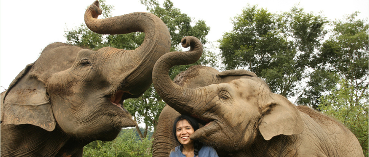 Yes, that is an elephant eating a volunteer's head