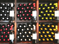Sample the full range of wines at the Alentejo's wineries