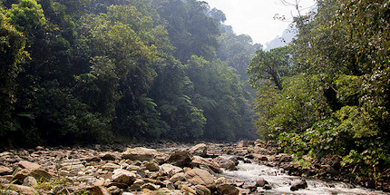 Explore Colombia's breathtaking jungles