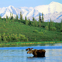 Experience Alaska's wilderness