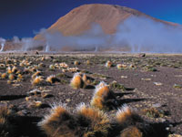 Geysers del tatio, Atacama Desert, by Lorenzo Moscia © Chilean Tourism Promotion Corporation