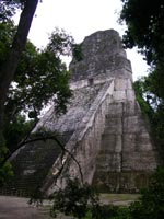 Tikal © Sarah Logan