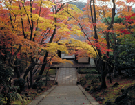 Jojakkoji Temple, Kyoto © Japan National Tourist Organization