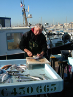 Fish market, Marseille © Marie Peyre