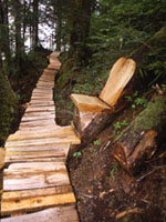 West Coast Trail, boardwalk © Tourism BC