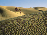 Camel trek in desert