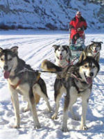 Yukon Quest Trail husky safari © responsibletravel.com