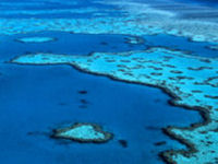 Great Barrier Reef © greatbarrierreef.org