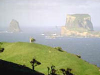 Chatham Islands © www.chathams.com