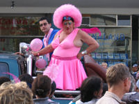 Pink Loerie Mardi Gras © Pink Loerie Mardi Gras