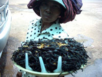 Cambodian tarantula vendor © Emma Field