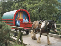Gypsy-style horse caravan © Clissmann Horse Caravans