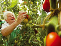 Organic gardening © Tourism Ireland