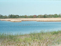 Jamaica Bay © Creative Commons/edenpictures