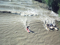 Severn surfers © Creative Commons