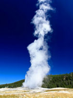 Old Faithful geyser © www.123rf.com