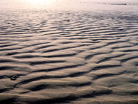 West Wittering © Creative Commons