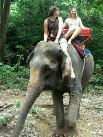 Elephant trekking © Creative Commons