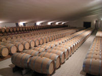 Bordeaux wine ageing in barrel cellar © WTG / Coralie Modschiedler