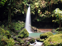 Jungle waterfall, Dominica © Creative Commons / Andrew Mawby