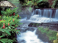 Tabacón springs, Costa Rica © Tabacón Grand Spa and Thermal Resort