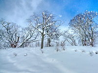 Niseko, Japan © Creative Commons / ahkkus