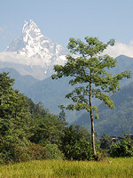 Annapurna © Ruth-Ellen Davis