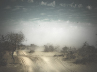 A desert track leading to the mythical city © Bryony Sheamur Photography